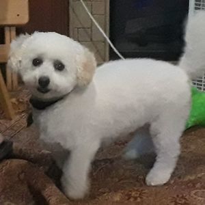 Meet your Posher, Kathy